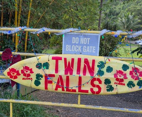 Exclusive Private Maui Tours & Transportation-毛伊岛必去景点