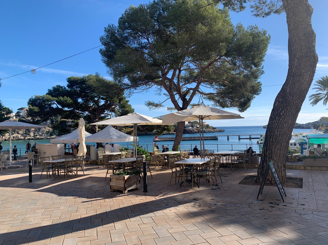 Vinoteca Terra De Vins