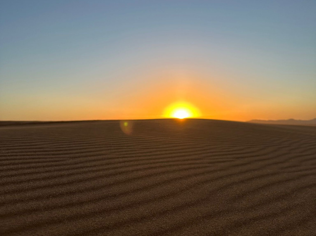 Marrakech Camel Trips-非斯必去景点