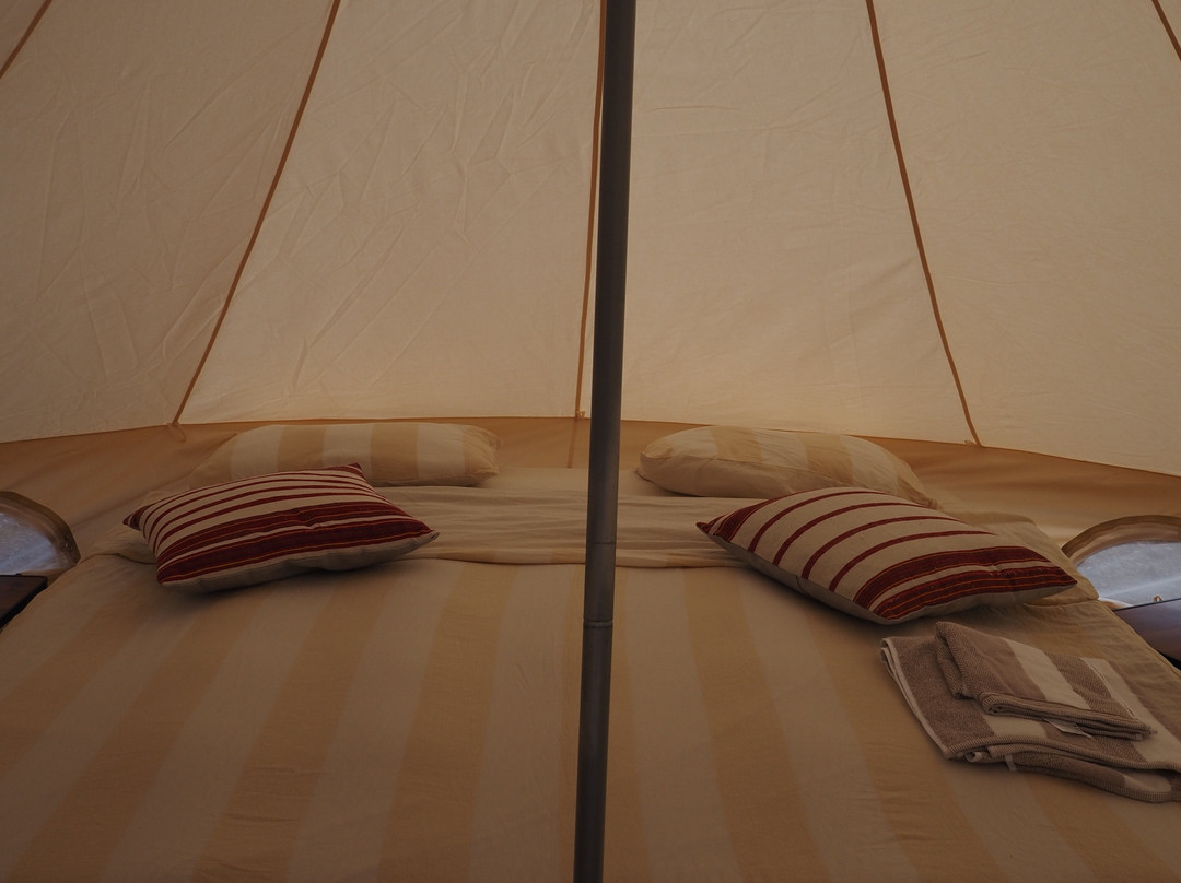 Socotra Nights-Hadiboh必去景点