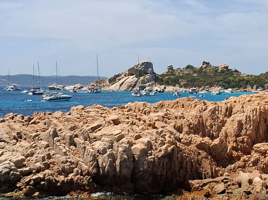 Isola di Spargi-拉马达莱娜必去景点