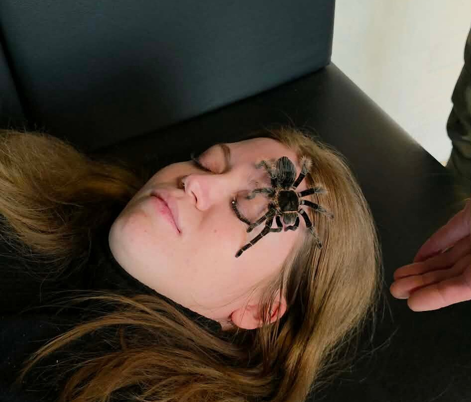 Dyrenes Verden Filskov Mini Zoo i Billund-格林斯泰兹必去景点