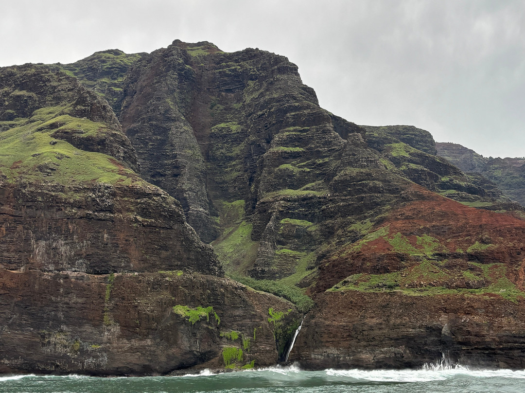 Blue Dolphin Charters-埃里埃利必去景点