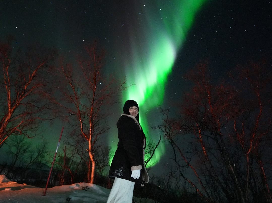 拉普兰极光之旅-阿比斯库必去景点