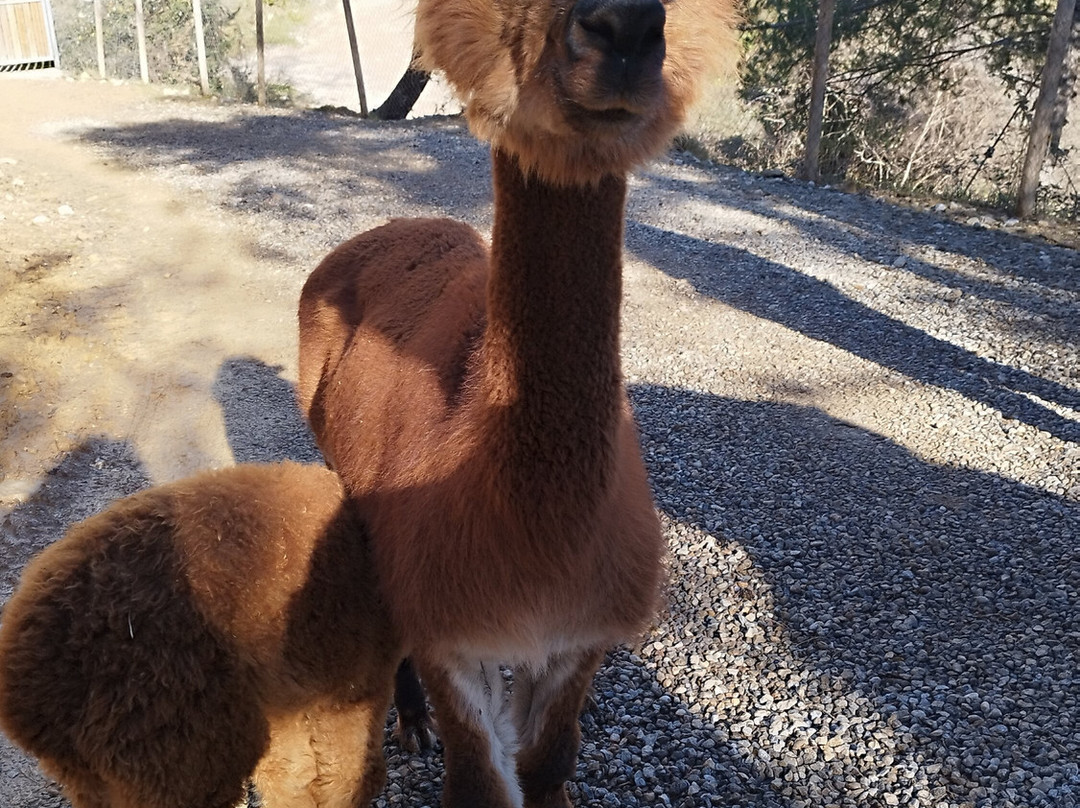 Merolla Berguedà-Berga必去景点