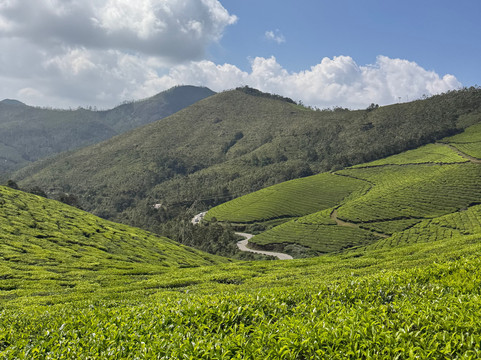 Ganesh Voyages-金奈（马德拉斯）必去景点