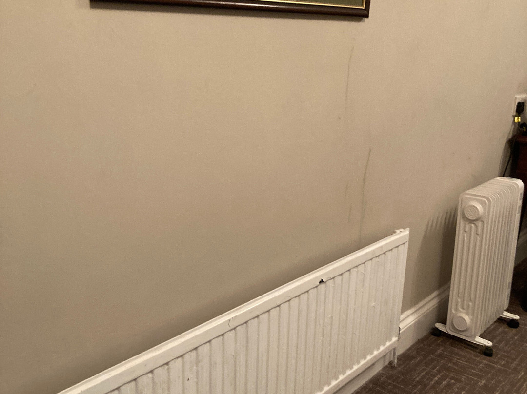 Shrubbery Hotel主图