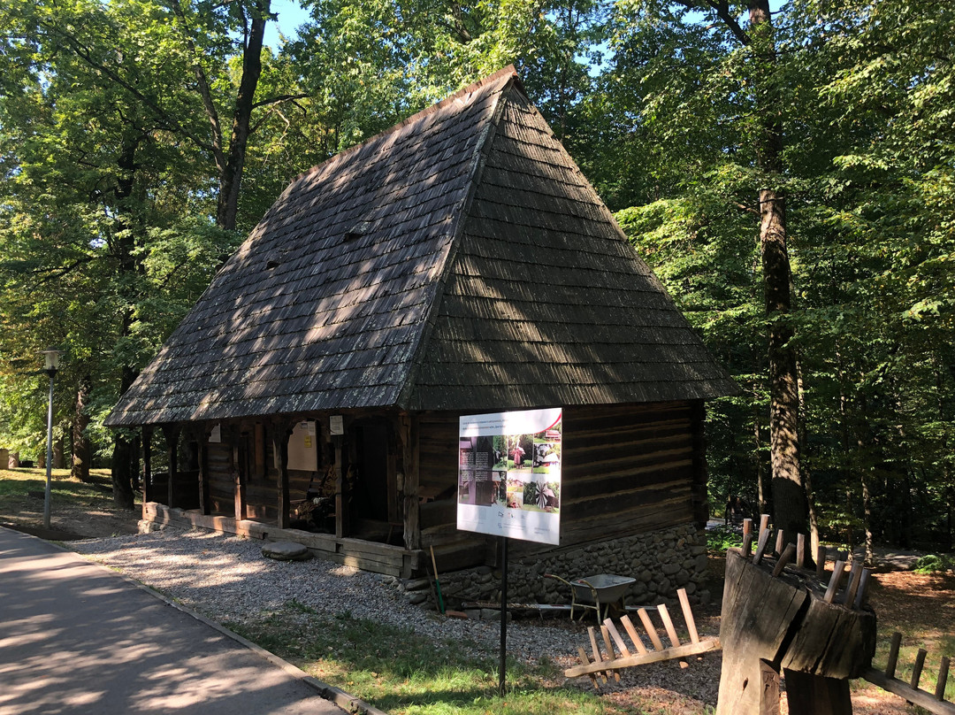 Muzeul Astra-锡比乌必去景点