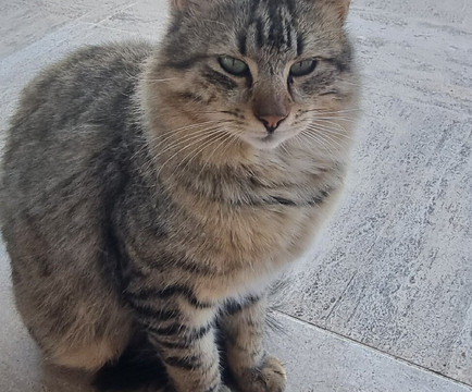 Ta' Betta Wine Estates-Siggiewi必去景点