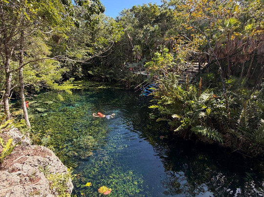 The Reef Marina-普拉亚德尔卡曼必去景点