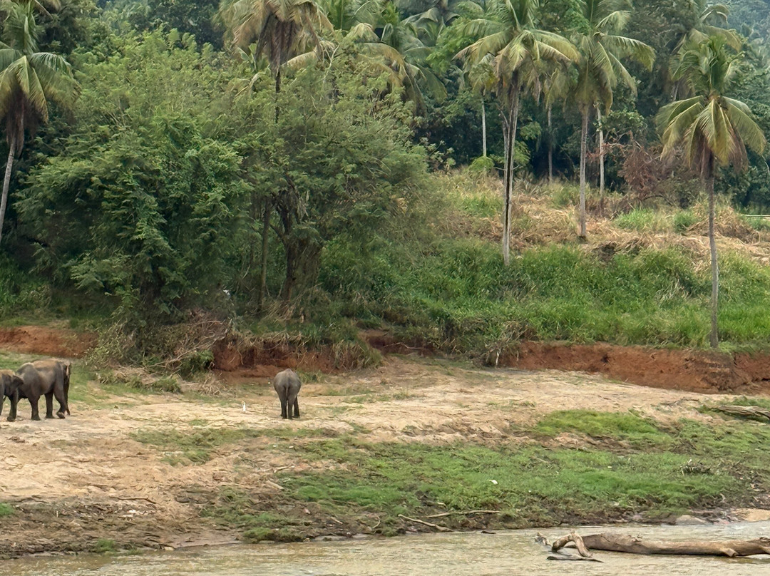 大象公园酒店主图