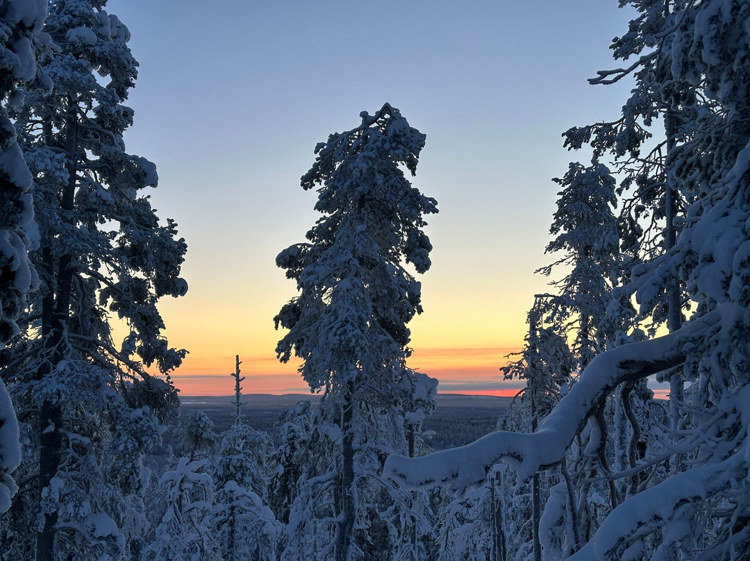 Lapland Safaris Yllas-Akaslompolo必去景点