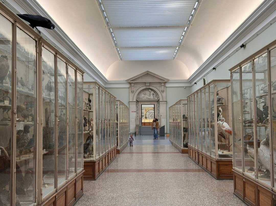 Palais de Rumine-洛桑必去景点