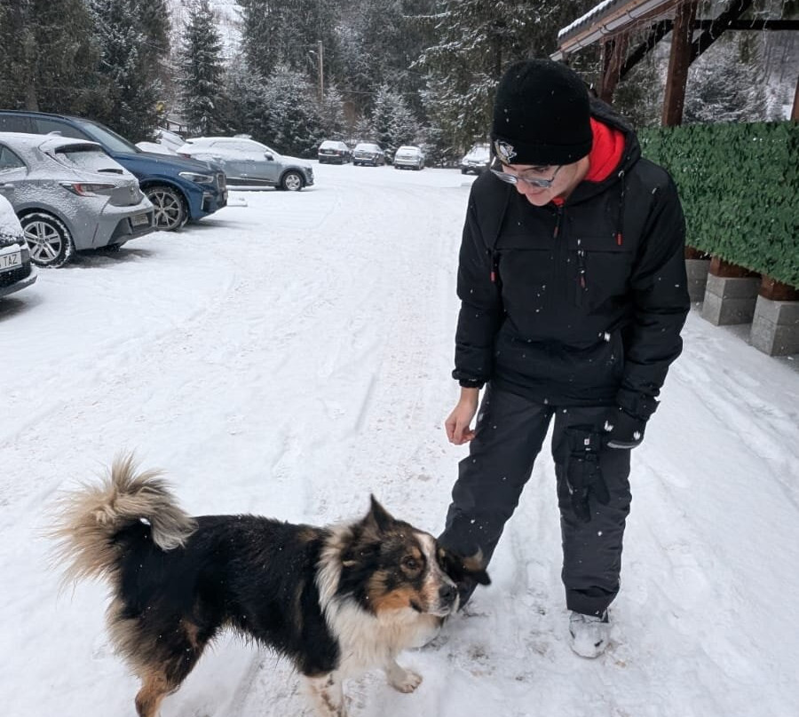 Pensiunea Casa Motului主图