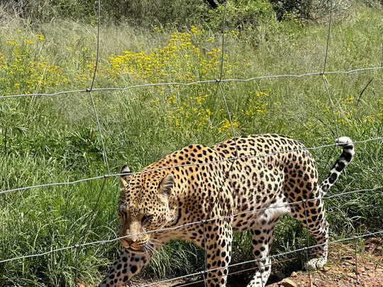 Gazechase Travels-温德和克必去景点