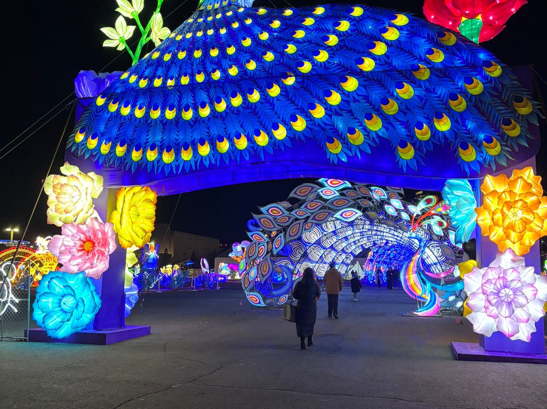 Winter Lantern Festival Washington DC-泰森角必去景点
