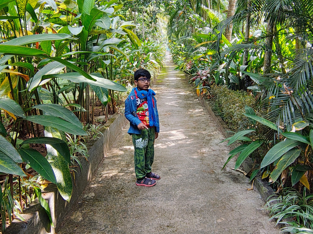 Parampara Resort & Spa主图