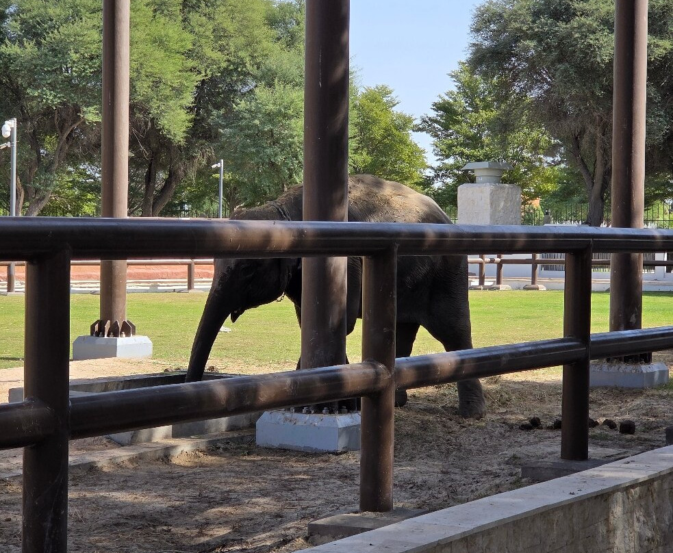 Al Khor Park-Al Khor必去景点