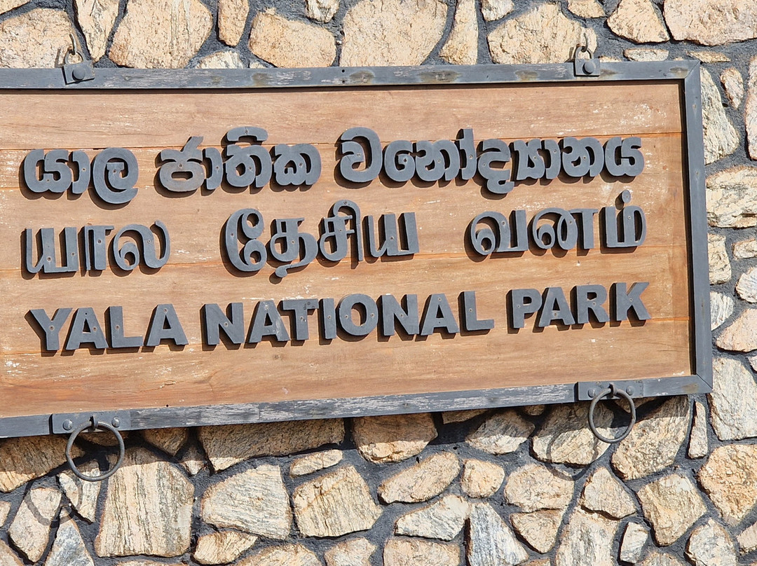 Yala National Park-雅拉国家公园必去景点