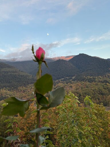 Rizoma Guesthouse主图