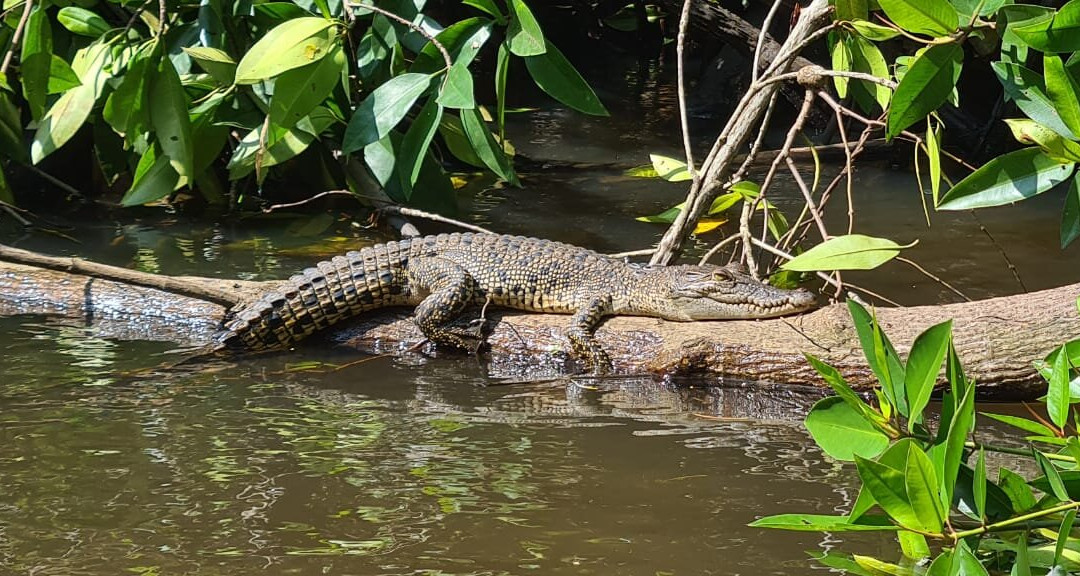 Ranmini Tours Sri Lanka-Udugampola必去景点