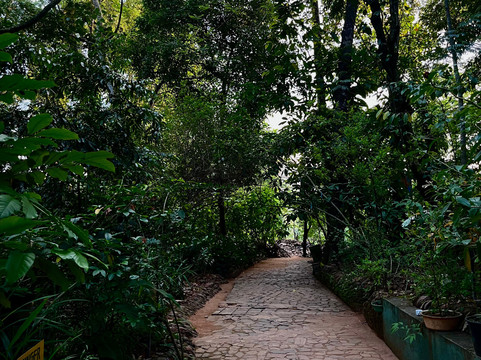 VAC Spices and Tea-科伦坡必去景点