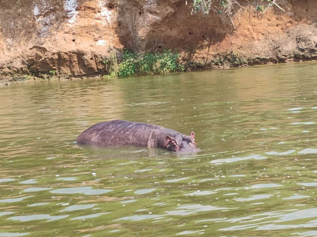 Kabaffulo Safaris-Katunguru必去景点