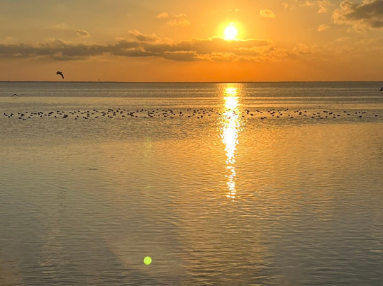 Laguna Madre Nature Trail-南帕诸岛必去景点