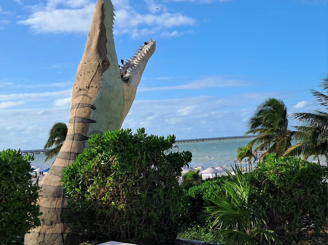 MUSEO DEL METEORITO EL ORIGEN DE LA NUEVA VIDA-Progreso必去景点