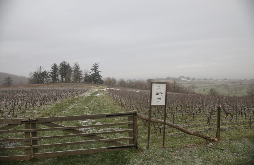 Château De Rougeon-Bissey-sous-Cruchaud必去景点
