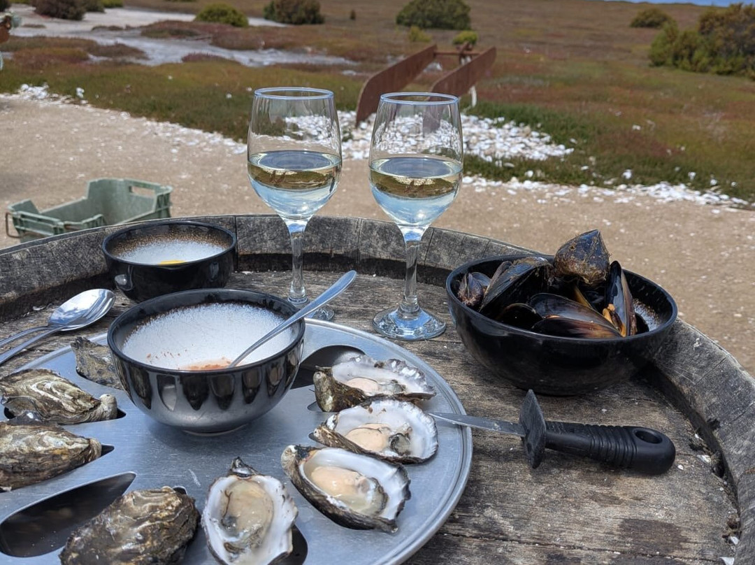 Oyster Bay Tours-科尔斯湾必去景点