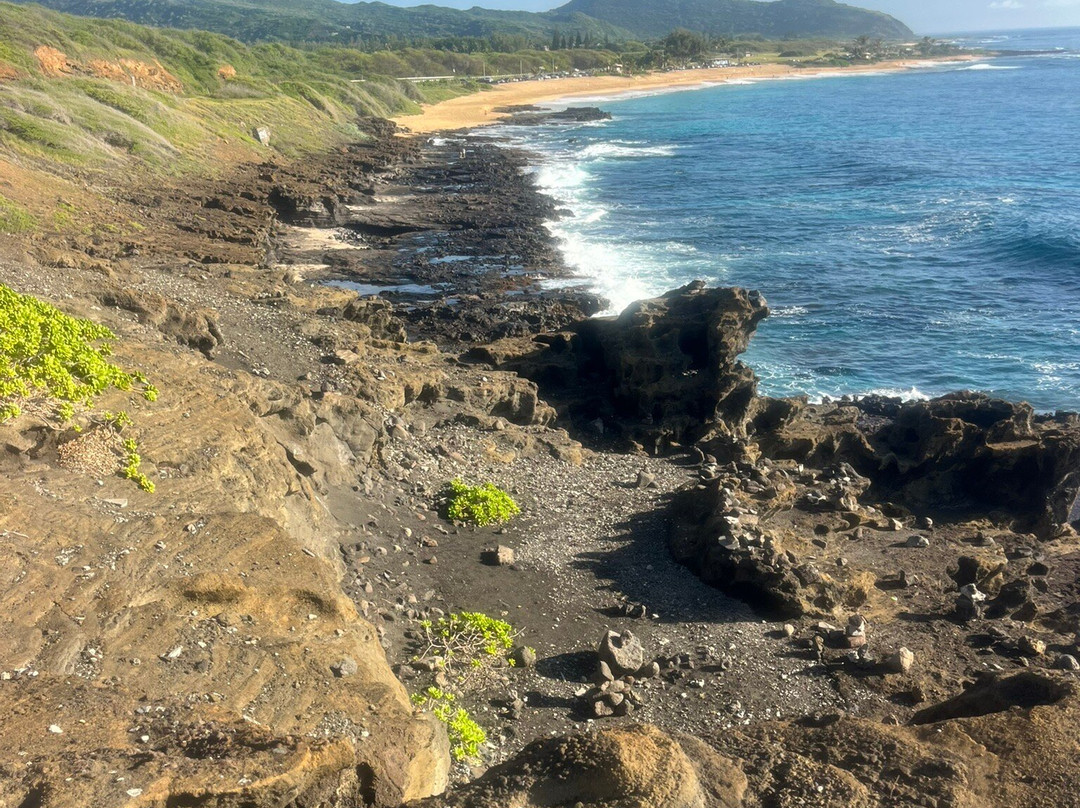 ALLSTAR TRANSPORTATION & TOURS LLC-瓦胡岛必去景点