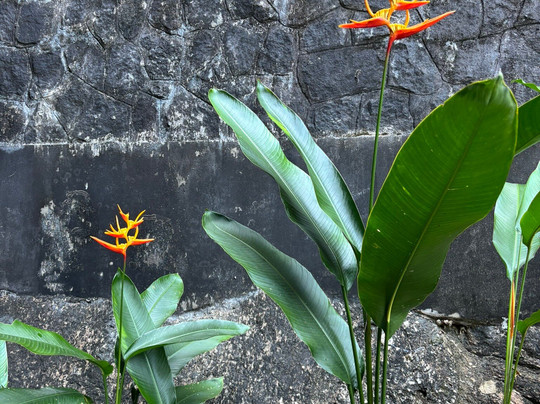 Memory Karon Resort主图