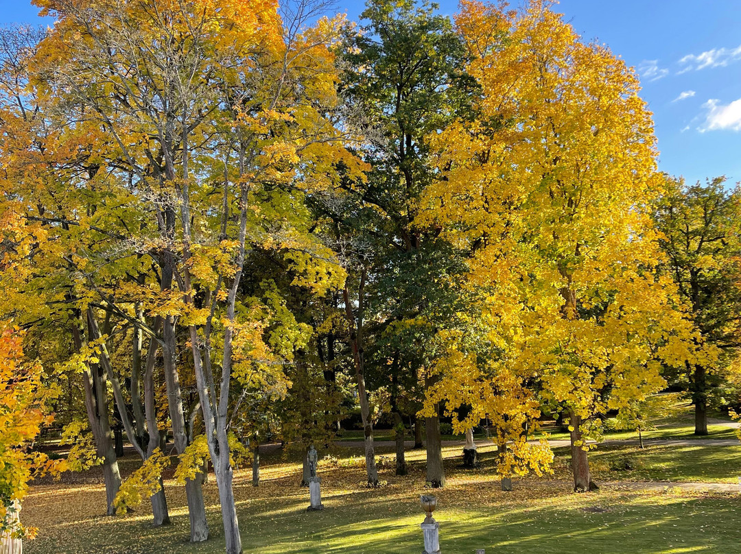 梅特罗普尔酒店主图