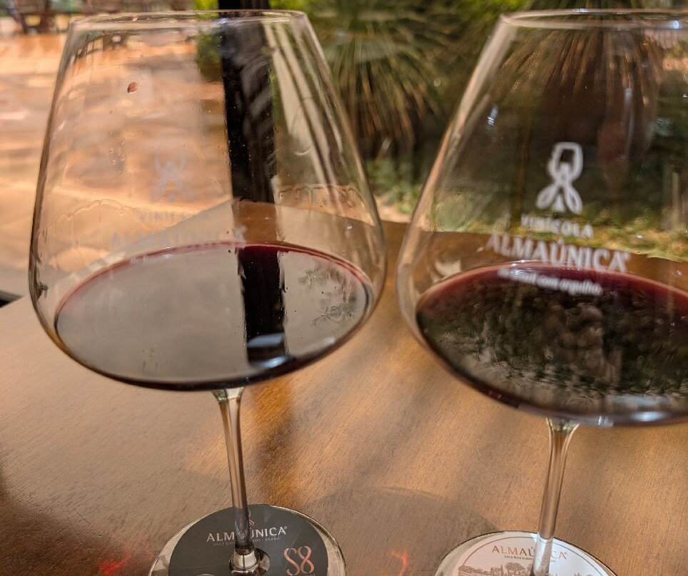 Almaunica Winerie-本图贡萨尔维斯必去景点