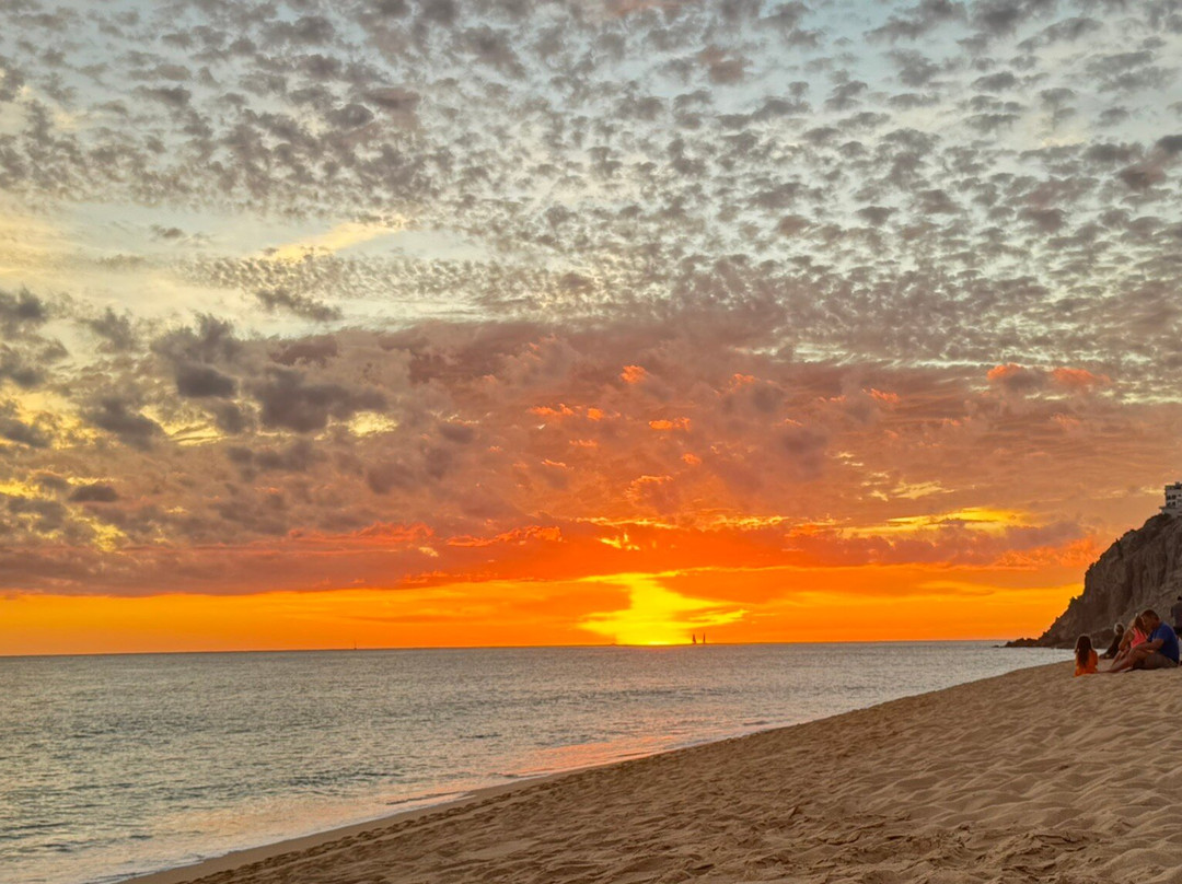 Baja Magdalena-圣何塞卡波必去景点