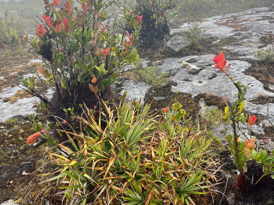 Mongui Mágico-Mongui必去景点