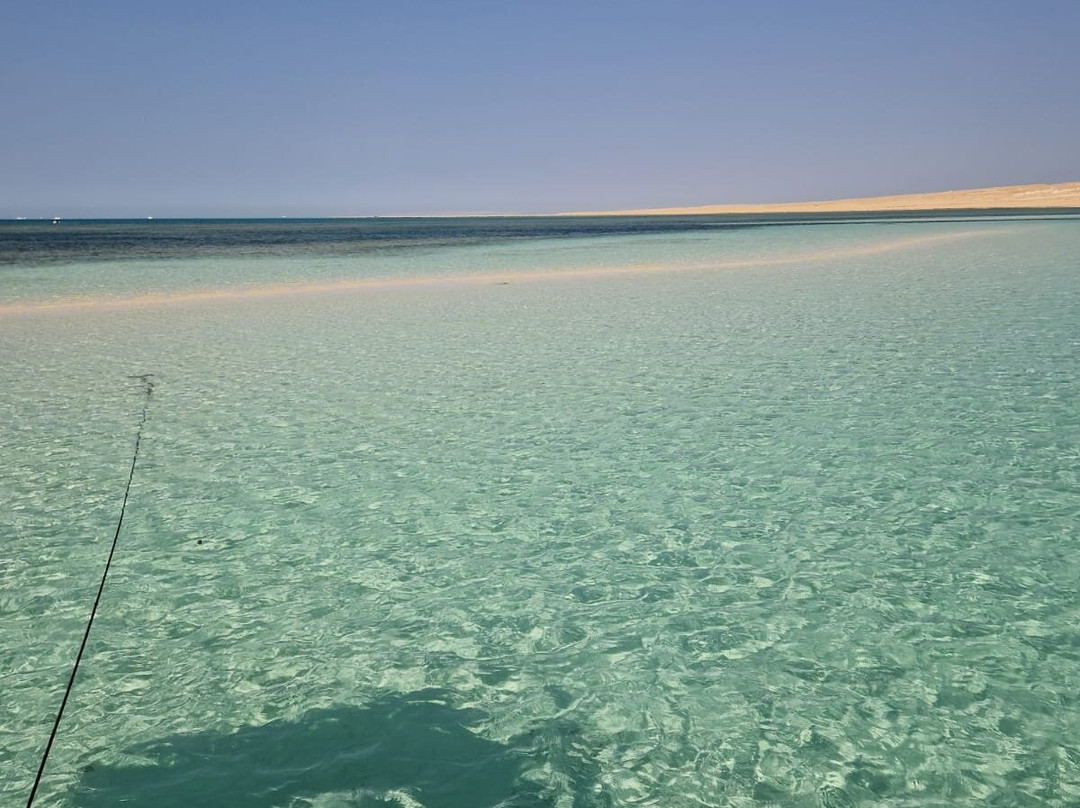 Delfinausflug Mit MO-赫尔格达必去景点