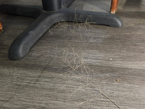 旅行者宾馆和套房