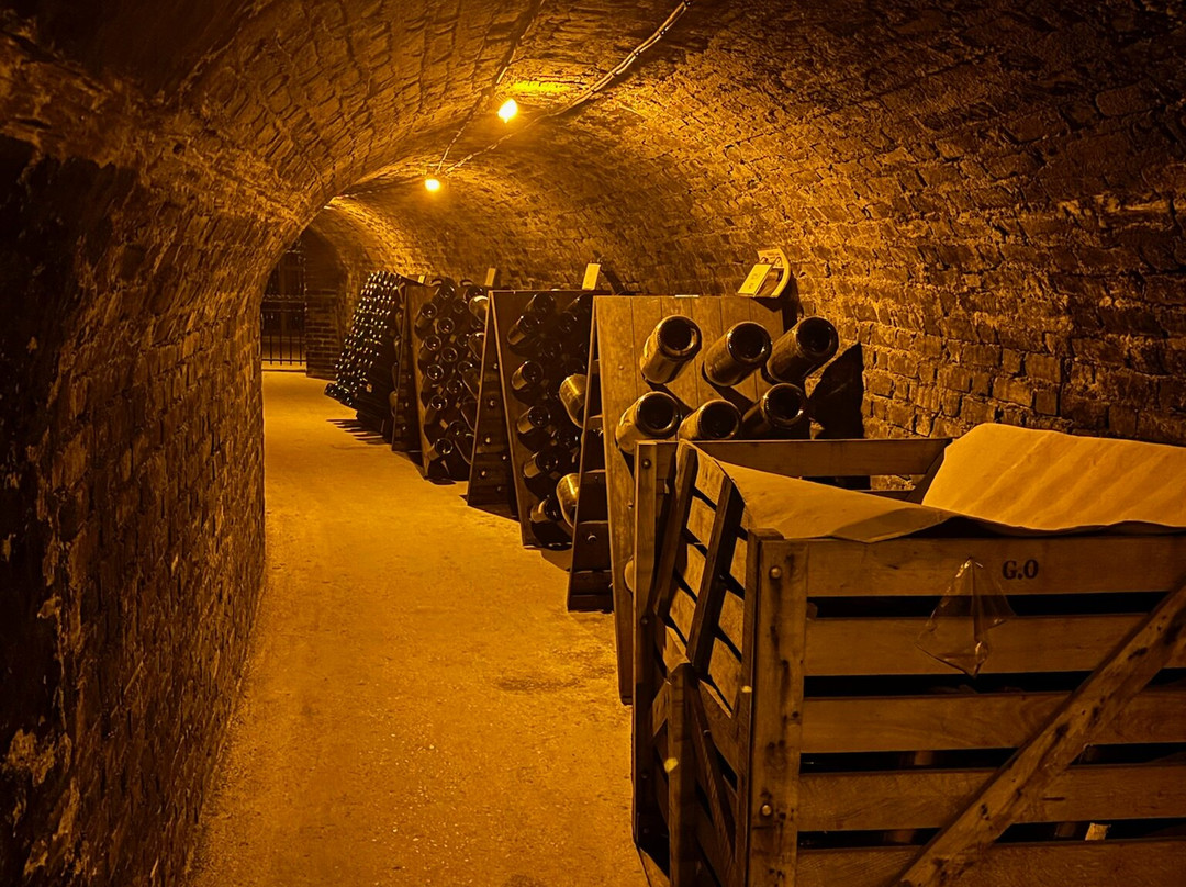 Champagne Gardet-Chigny les Roses必去景点