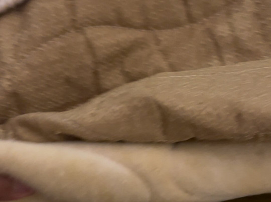 Casarão Villa Do Império Hotel Boutique主图