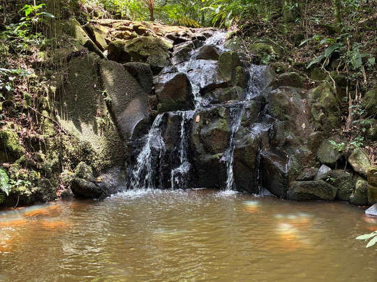 Trilha Contemplativa Jardim das Águas-Pardinho必去景点