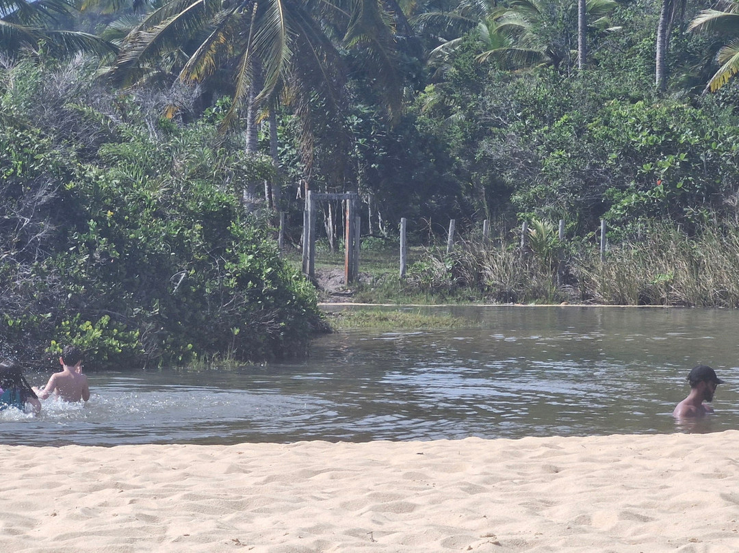 Pitinga Beach-Arraial d'Ajuda必去景点