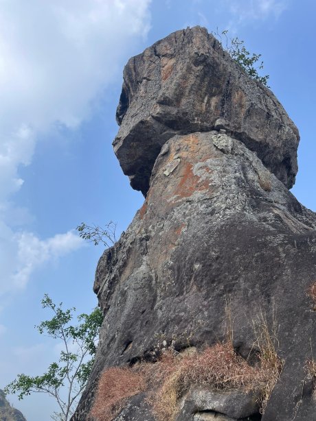 瓦亚纳德安纳特拉度假村-官方