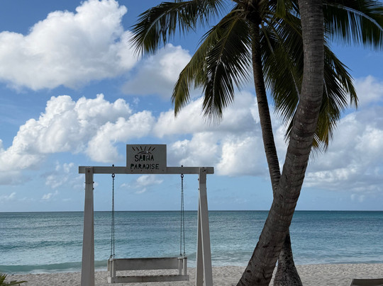 Muy Divertido Excursiones-Dominicus必去景点