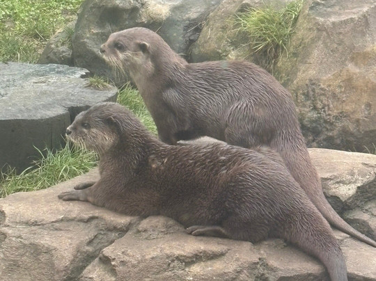 SEA LIFE Hunstanton-Hunstanton必去景点