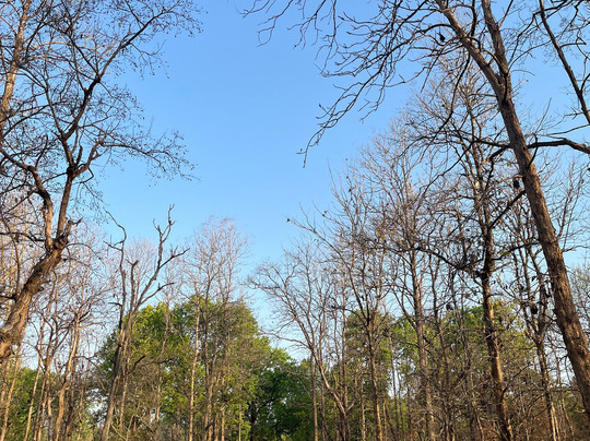 Jim Corbett National Park-Ramnagar必去景点