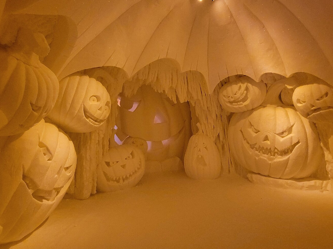 Lapland Safaris Yllas-Akaslompolo必去景点