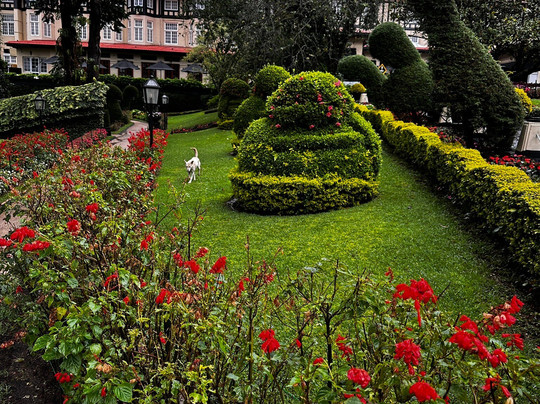 Sri-tours-St. Margarethen必去景点