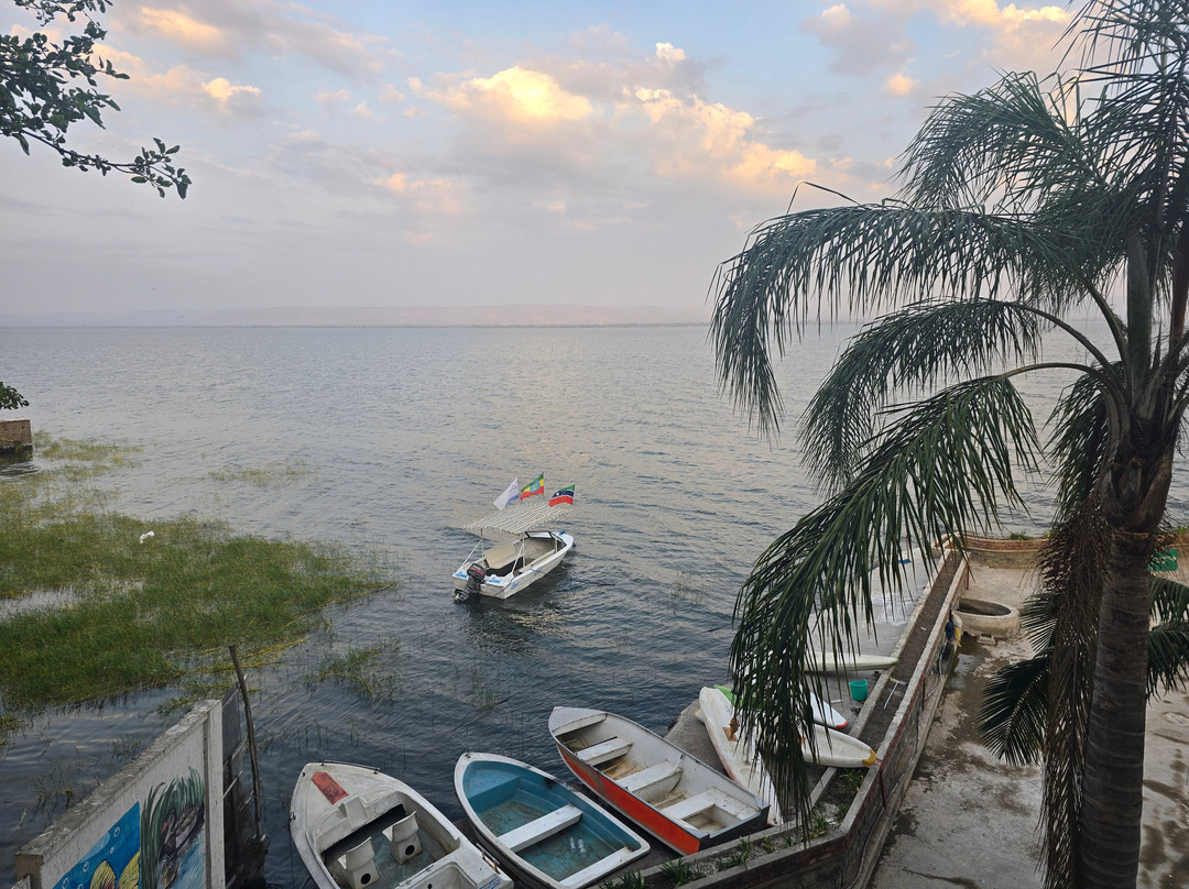 Lewi Hotels & Resorts主图